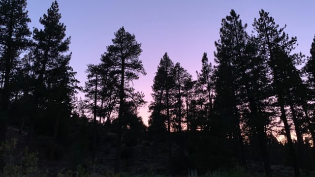 Camping night