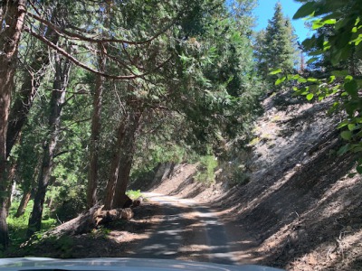 camp road