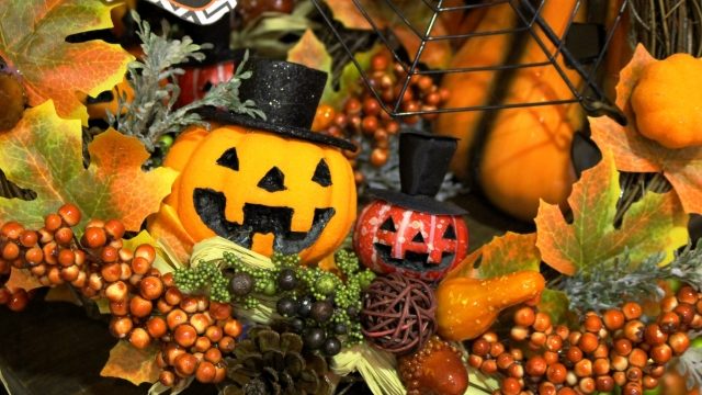halloween photo